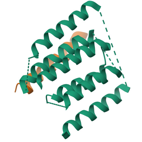 Rcsb Pdb 4utq A Structural Model Of The Active Ribosome Bound Membrane Protein Insertase Yidc 8318