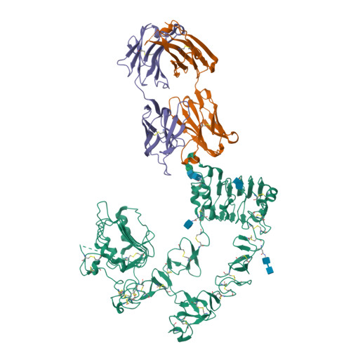 RCSB PDB - 4UV7: The complex structure of extracellular