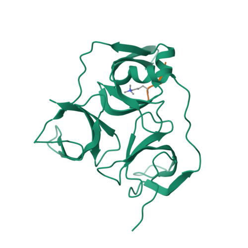 Spindlin-4 structure