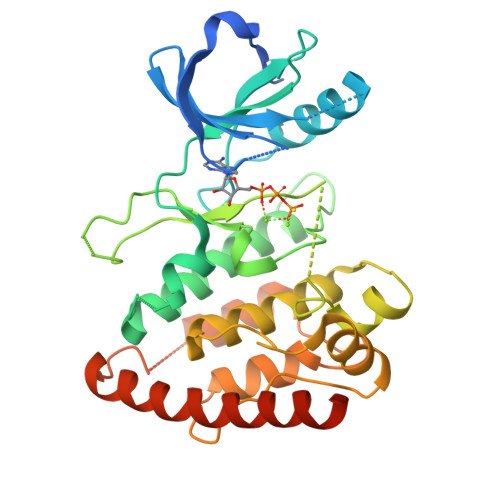 RCSB PDB - 4UYA: Structure of MLK4 kinase domain with ATPgammaS