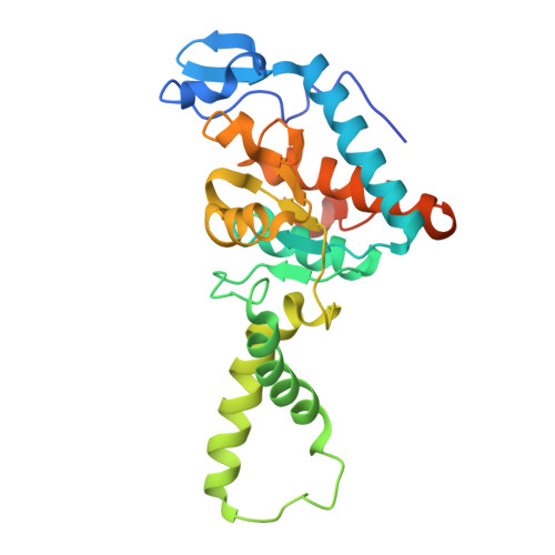 RCSB PDB - 4V4Z: 70S Thermus thermophilous ribosome functional 