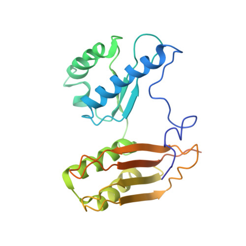 RCSB PDB - 4V4Z: 70S Thermus thermophilous ribosome functional 