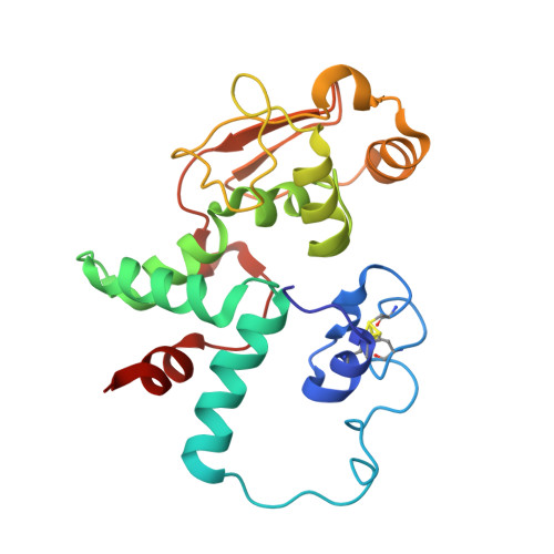 RCSB PDB - 4V4Z: 70S Thermus thermophilous ribosome functional 