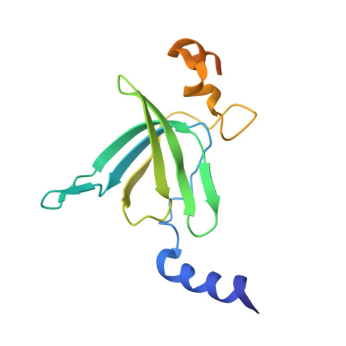 RCSB PDB - 4V4Z: 70S Thermus thermophilous ribosome functional 