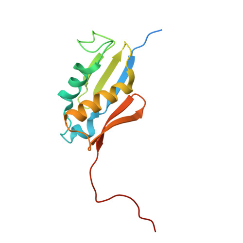 RCSB PDB - 4V6X: Structure of the human 80S ribosome