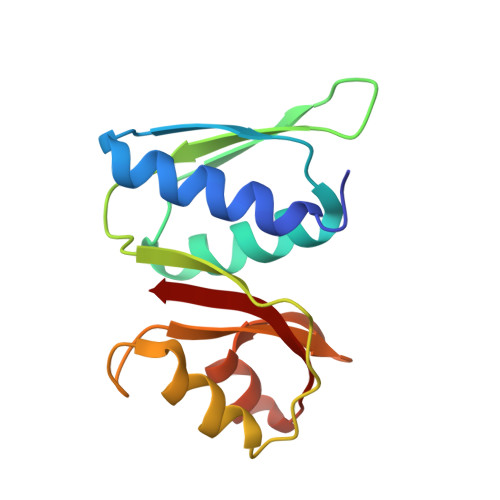 RCSB PDB - 4V6X: Structure of the human 80S ribosome