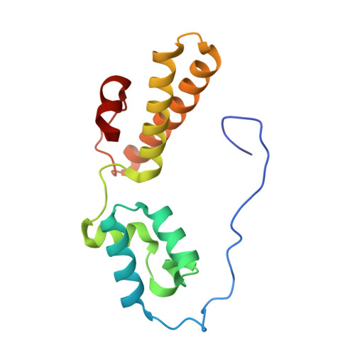 RCSB PDB - 4V6X: Structure of the human 80S ribosome