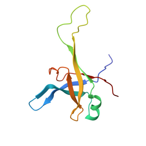 RCSB PDB - 4V6X: Structure of the human 80S ribosome