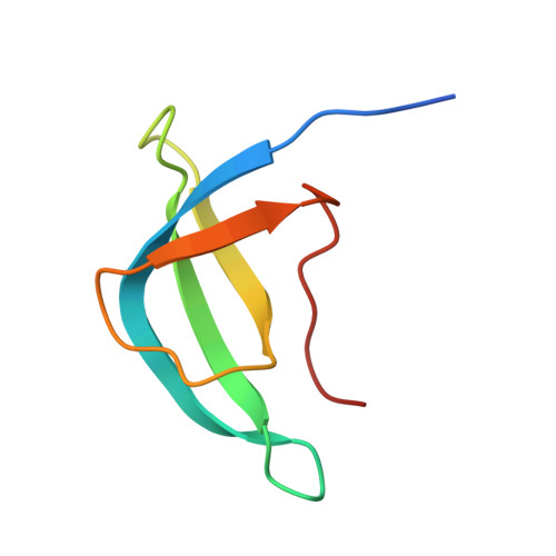 RCSB PDB - 4V6X: Structure of the human 80S ribosome