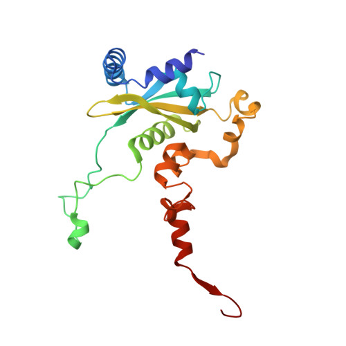 4v88 - The structure of the eukaryotic ribosome at 3.0 A resolution. -  Functional details - Protein Data Bank Japan