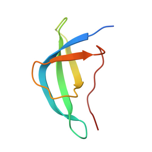 4v88 - The structure of the eukaryotic ribosome at 3.0 A resolution. -  Functional details - Protein Data Bank Japan