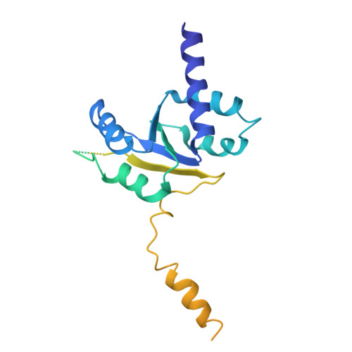 4v88 - The structure of the eukaryotic ribosome at 3.0 A resolution. -  Functional details - Protein Data Bank Japan