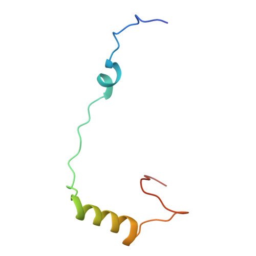 4v88 - The structure of the eukaryotic ribosome at 3.0 A resolution. -  Functional details - Protein Data Bank Japan