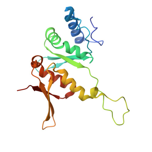 RCSB PDB - 4V88: The structure of the eukaryotic ribosome at 3.0 A  resolution.