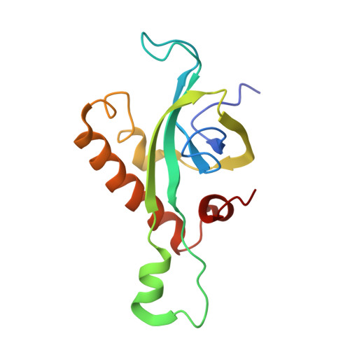 4v88 - The structure of the eukaryotic ribosome at 3.0 A resolution. -  Functional details - Protein Data Bank Japan