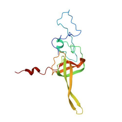 RCSB PDB - 4V88: The structure of the eukaryotic ribosome at 3.0 A  resolution.