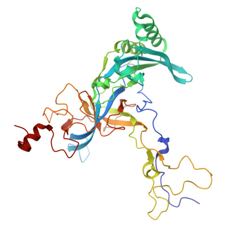 4v88 - The structure of the eukaryotic ribosome at 3.0 A resolution. -  Functional details - Protein Data Bank Japan