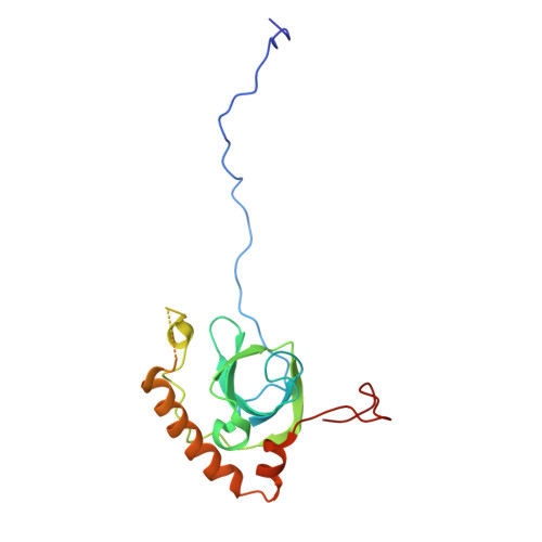 4v88 - The structure of the eukaryotic ribosome at 3.0 A resolution. -  Functional details - Protein Data Bank Japan