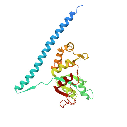 4v88 - The structure of the eukaryotic ribosome at 3.0 A resolution. -  Functional details - Protein Data Bank Japan