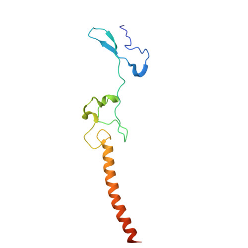 RCSB PDB - 4V88: The structure of the eukaryotic ribosome at 3.0 A  resolution.