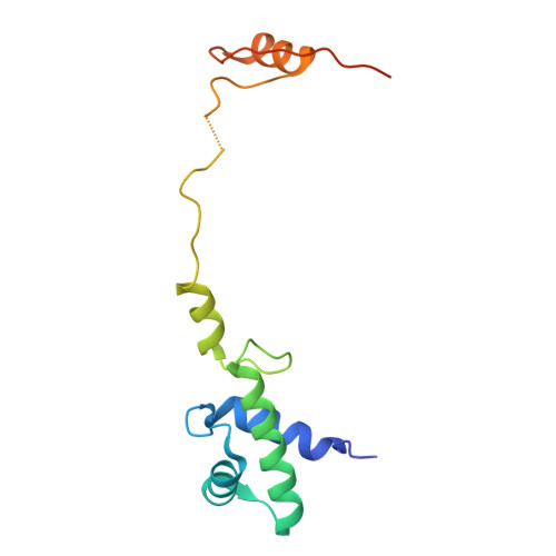 4v88 - The structure of the eukaryotic ribosome at 3.0 A resolution. -  Functional details - Protein Data Bank Japan