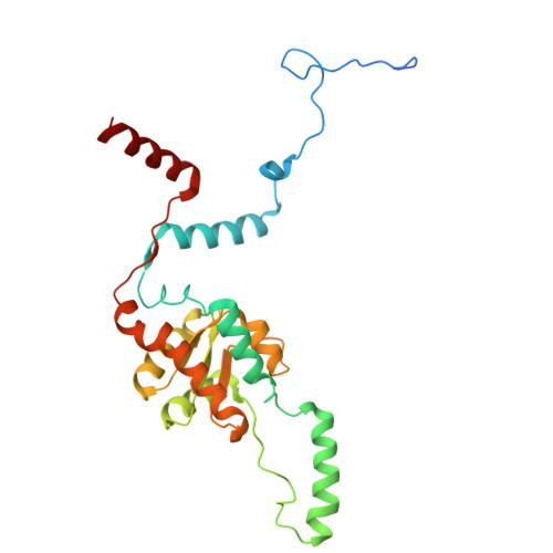 4v88 - The structure of the eukaryotic ribosome at 3.0 A resolution. -  Functional details - Protein Data Bank Japan