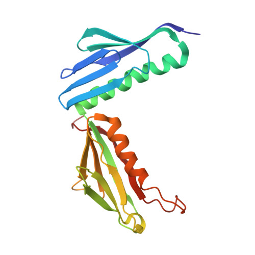 4v88 - The structure of the eukaryotic ribosome at 3.0 A resolution. -  Functional details - Protein Data Bank Japan