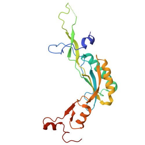 4v88 - The structure of the eukaryotic ribosome at 3.0 A resolution. -  Functional details - Protein Data Bank Japan