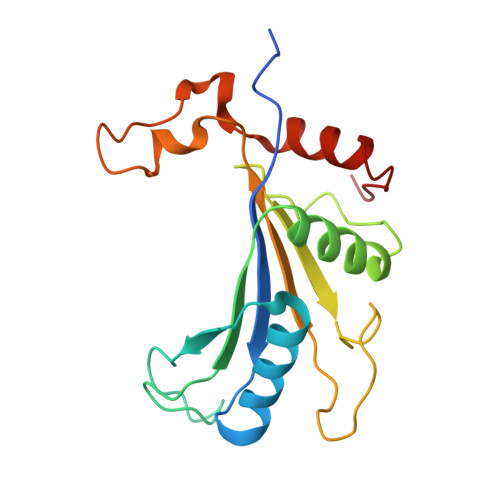 4v88 - The structure of the eukaryotic ribosome at 3.0 A resolution. -  Functional details - Protein Data Bank Japan