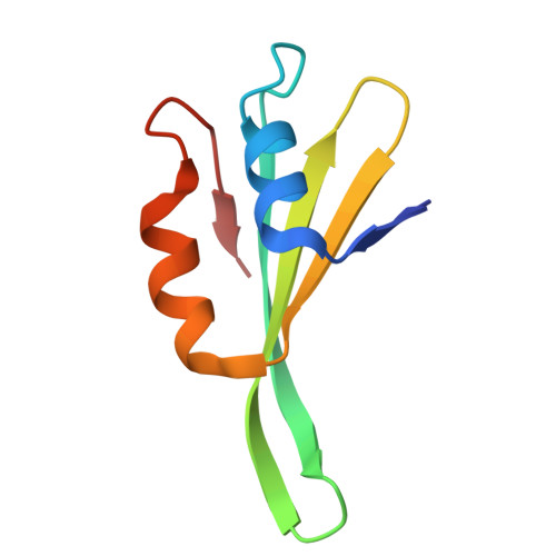 4v88 - The structure of the eukaryotic ribosome at 3.0 A resolution. -  Functional details - Protein Data Bank Japan