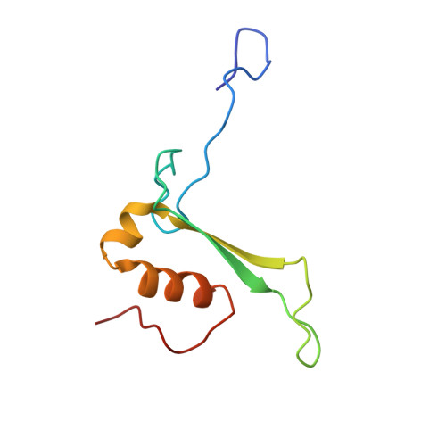 4v88 - The structure of the eukaryotic ribosome at 3.0 A resolution. -  Functional details - Protein Data Bank Japan