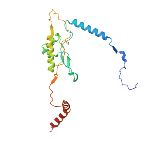 RCSB PDB - 4V88: The structure of the eukaryotic ribosome at 3.0 A  resolution.