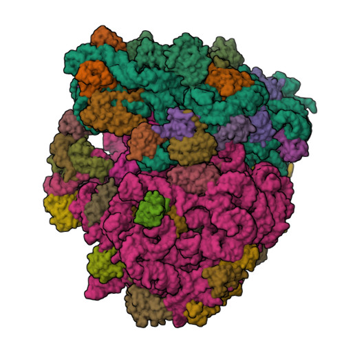 RCSB PDB - 4V95: Crystal structure of YAEJ bound to the 70S ribosome