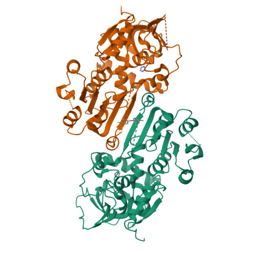 RCSB PDB - 4W9N: Enoyl-acyl carrier protein-reductase domain from human ...