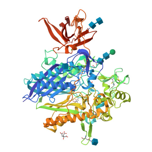 Neutral ceramidase structure