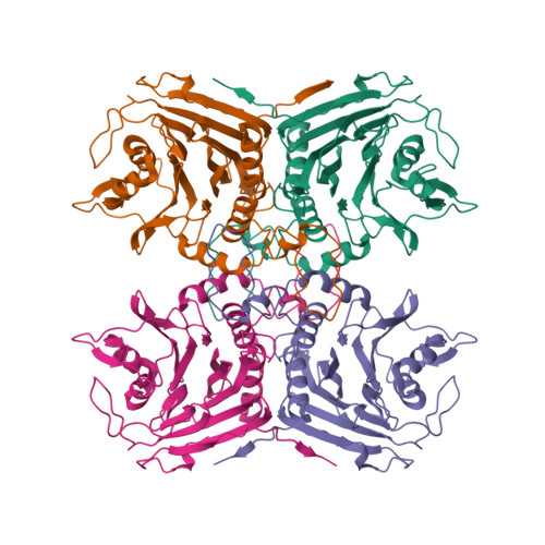 RCSB PDB - 4WL3: Crystal structure determination of Bile Salt Hydrolase ...