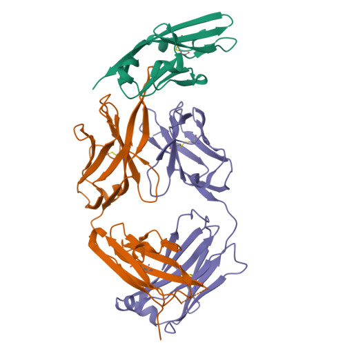 RCSB PDB - 4WV1: Crystal structure of the FGFR2 D2 domain in complex ...