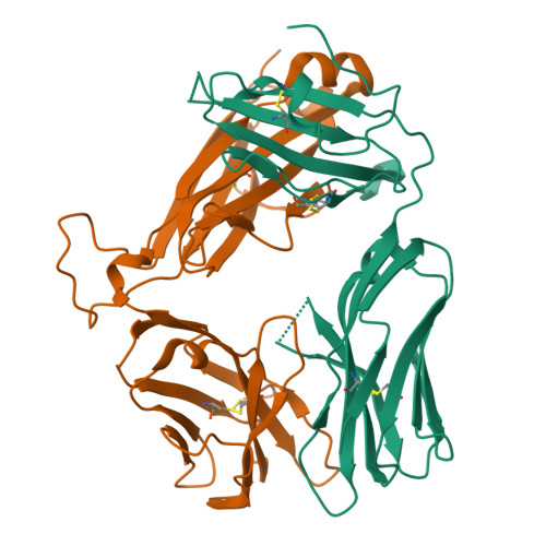 RCSB PDB - 4WW1: Crystal structure of human TCR Alpha Chain-TRAV21