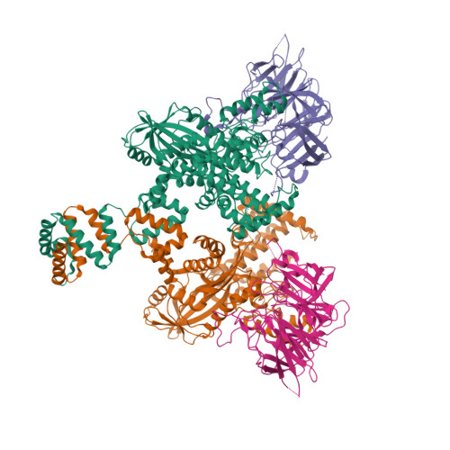 RCSB PDB - 4WWX: Crystal structure of the core RAG1/2 recombinase