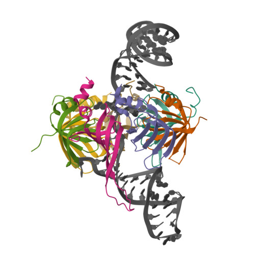 RCSB PDB - 4WZJ: Spliceosomal U4 snRNP core domain