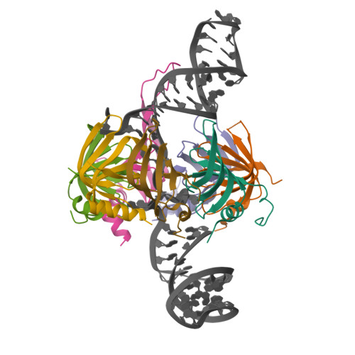 RCSB PDB - 4WZJ: Spliceosomal U4 snRNP core domain