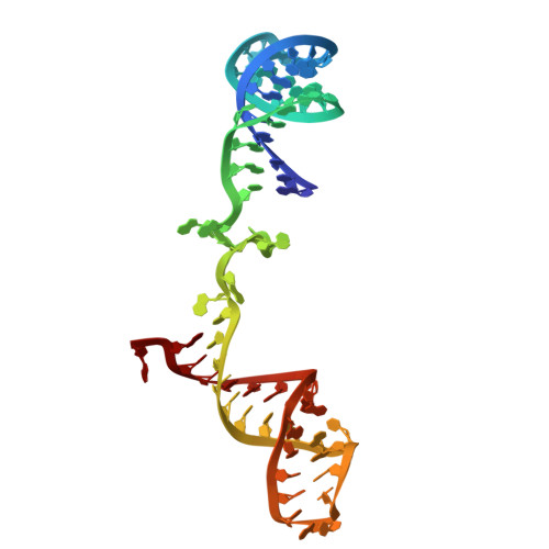 RCSB PDB - 4WZJ: Spliceosomal U4 snRNP core domain