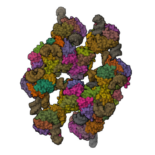 RCSB PDB - 4WZJ: Spliceosomal U4 snRNP core domain