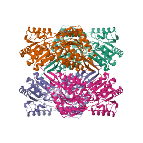 Retinal dehydrogenase 2 structure