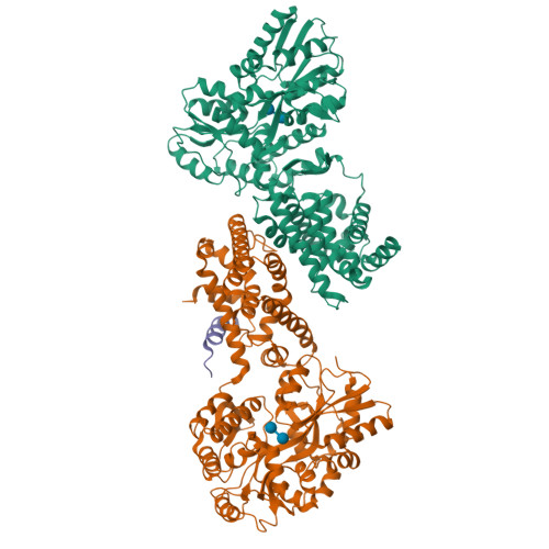PDB 4XAJ