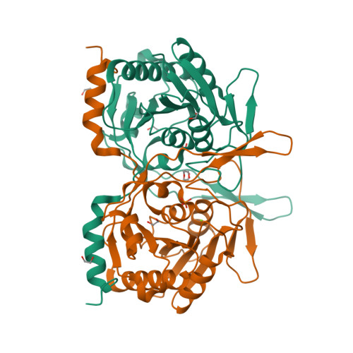 RCSB PDB - 4XEP: Crystal Structure Of F222 Form Of E112A/H234A Mutant ...