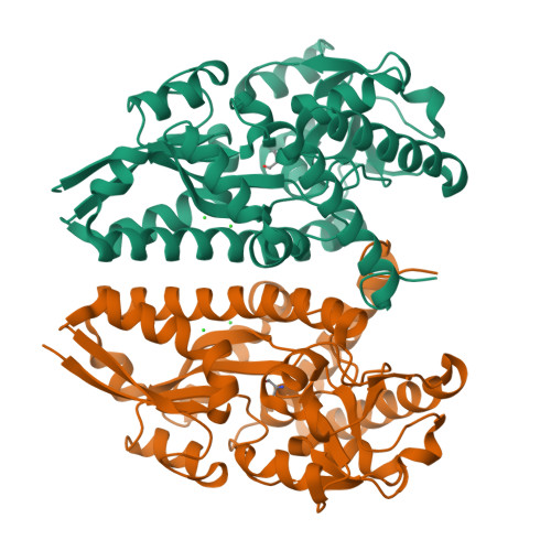 RCSB PDB - 4XF5: Crystal structure of a TRAP periplasmic solute binding ...