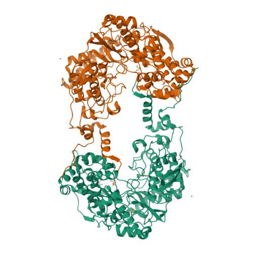 RCSB PDB - 4XHA: Crystal structure of Thosea asigna virus RNA-dependent ...