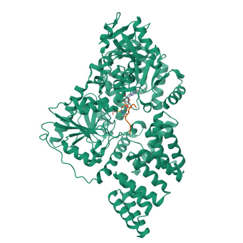 PDB 4XI9