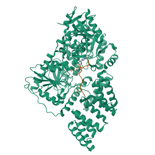 PDB 4XIF